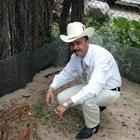 El as de la sierra