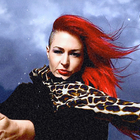 Dallas Frasca