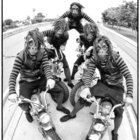 The Creepy Creeps