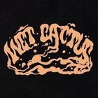 wet cactus