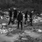 Shores of Null