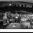 Micky And The Motorcars