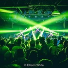 Runaway Gin - a Tribute to Phish