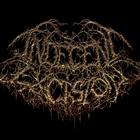 Indecent Excision