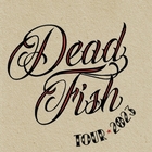 Dead Fish