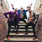 The Zipheads
