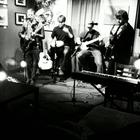 The Knotty Pines