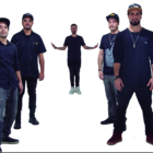 Planta e Raiz