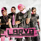 Larva