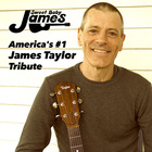 Sweet Baby James - The #1 James Taylor Tribute