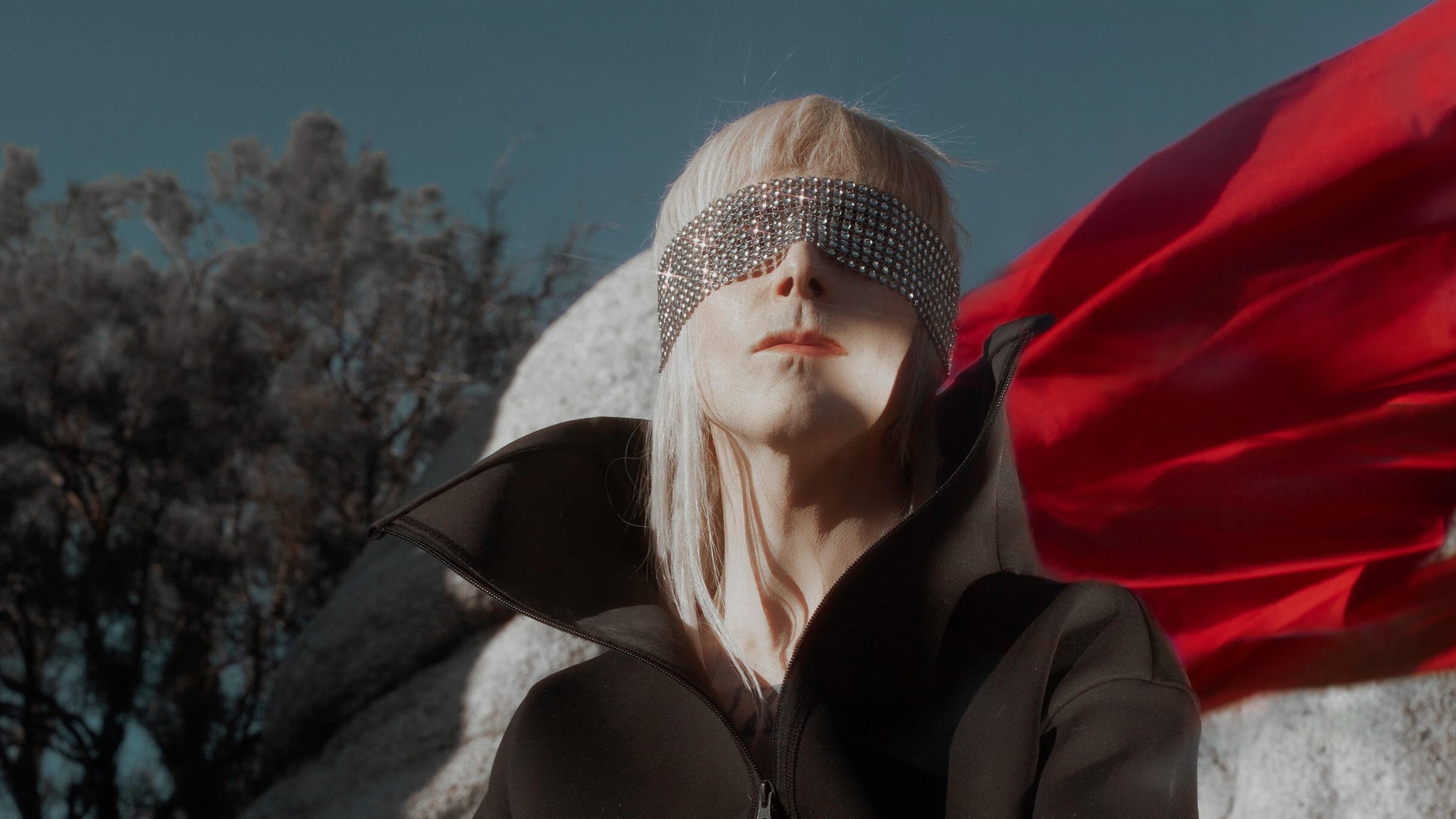 IAMX
