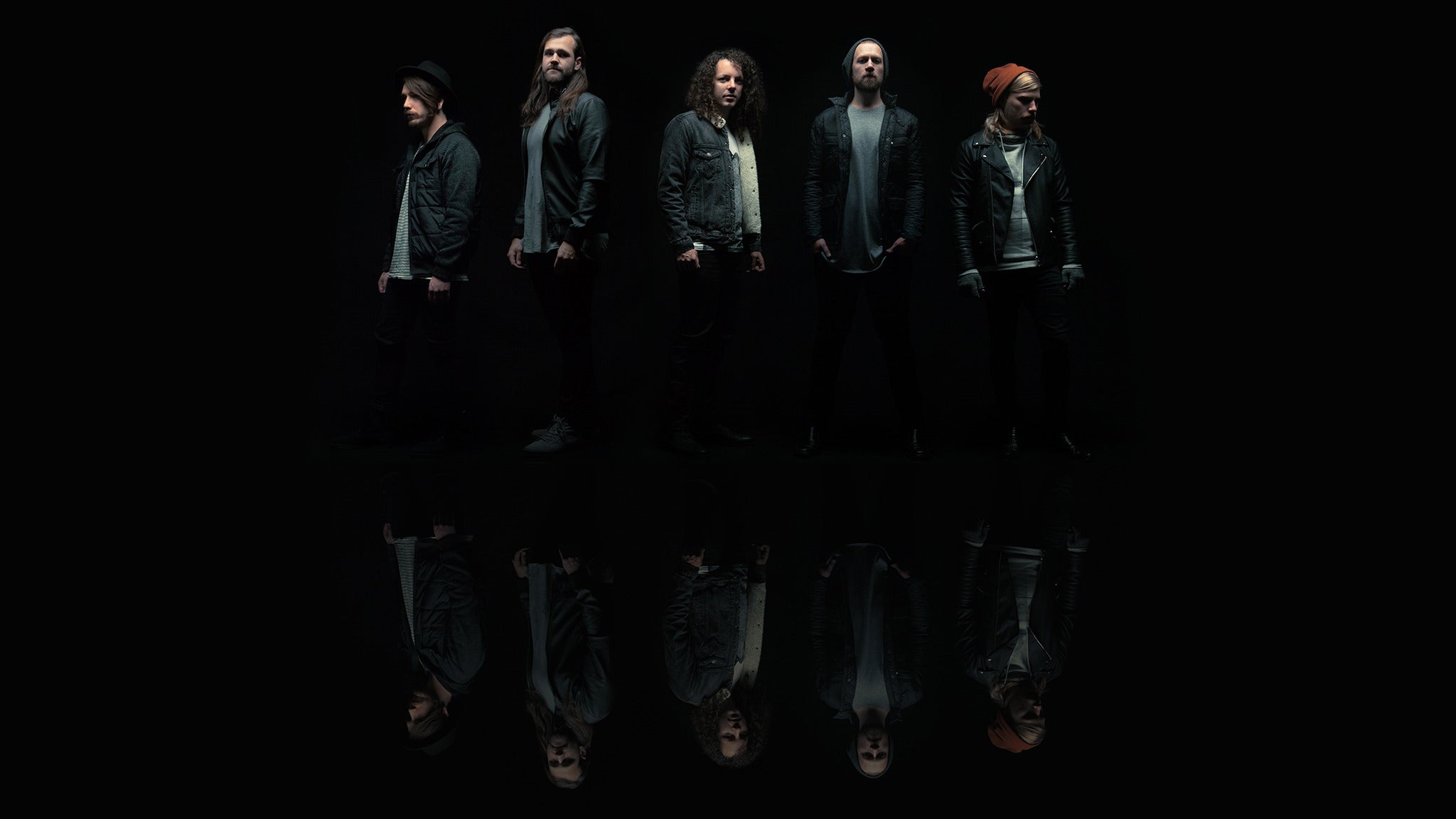 A Lot Like Birds