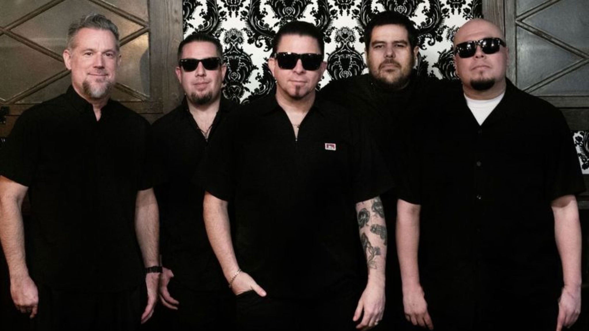 The Aggrolites
