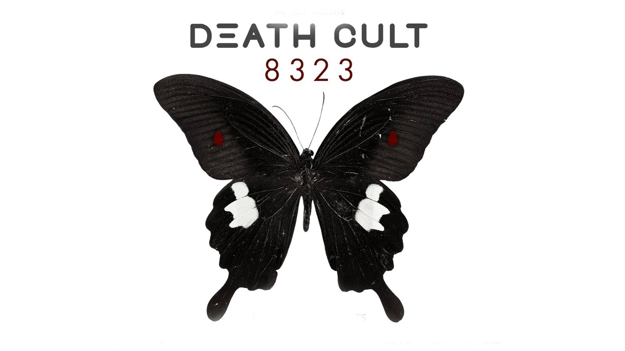 The Cult
