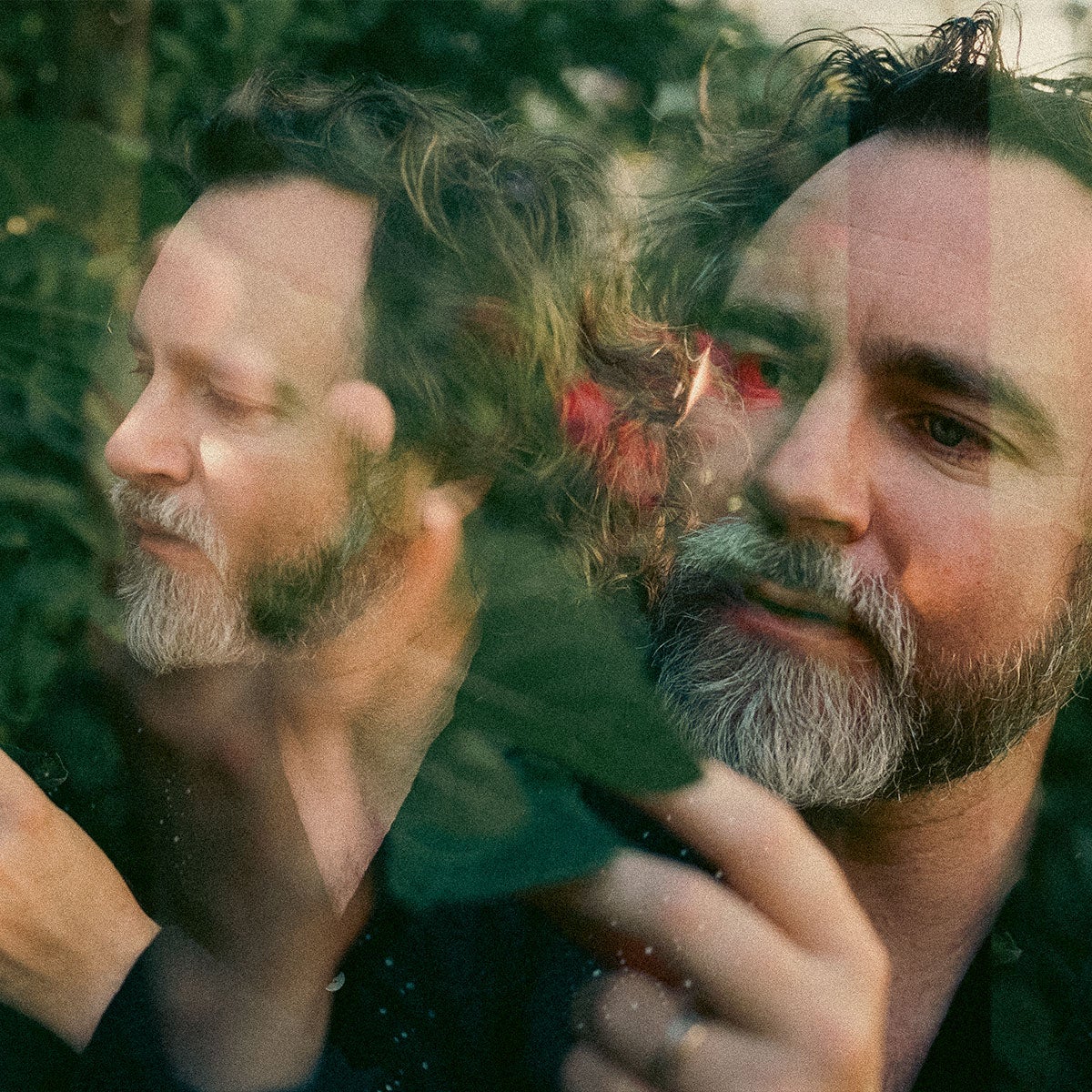 Liam Finn