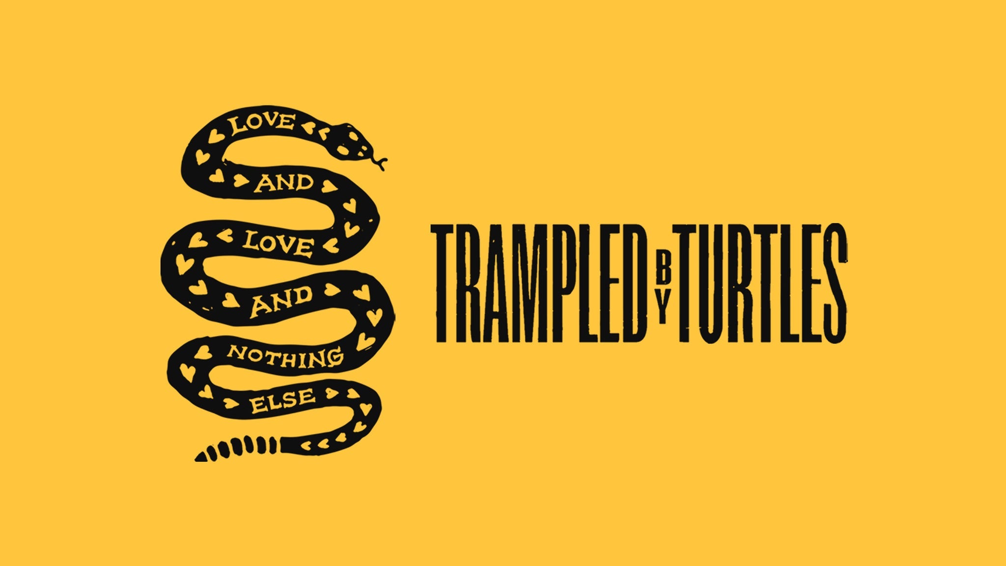 Trampled By Turtles