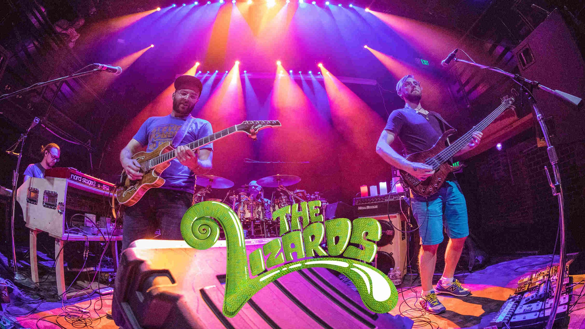 The Lizards