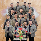 La Original Banda El Limon