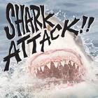 Shark Attack