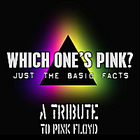 Which One's Pink?