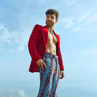 Vaidas Baumila