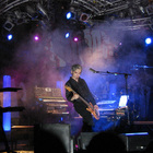 Bluvertigo