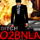 Ditch